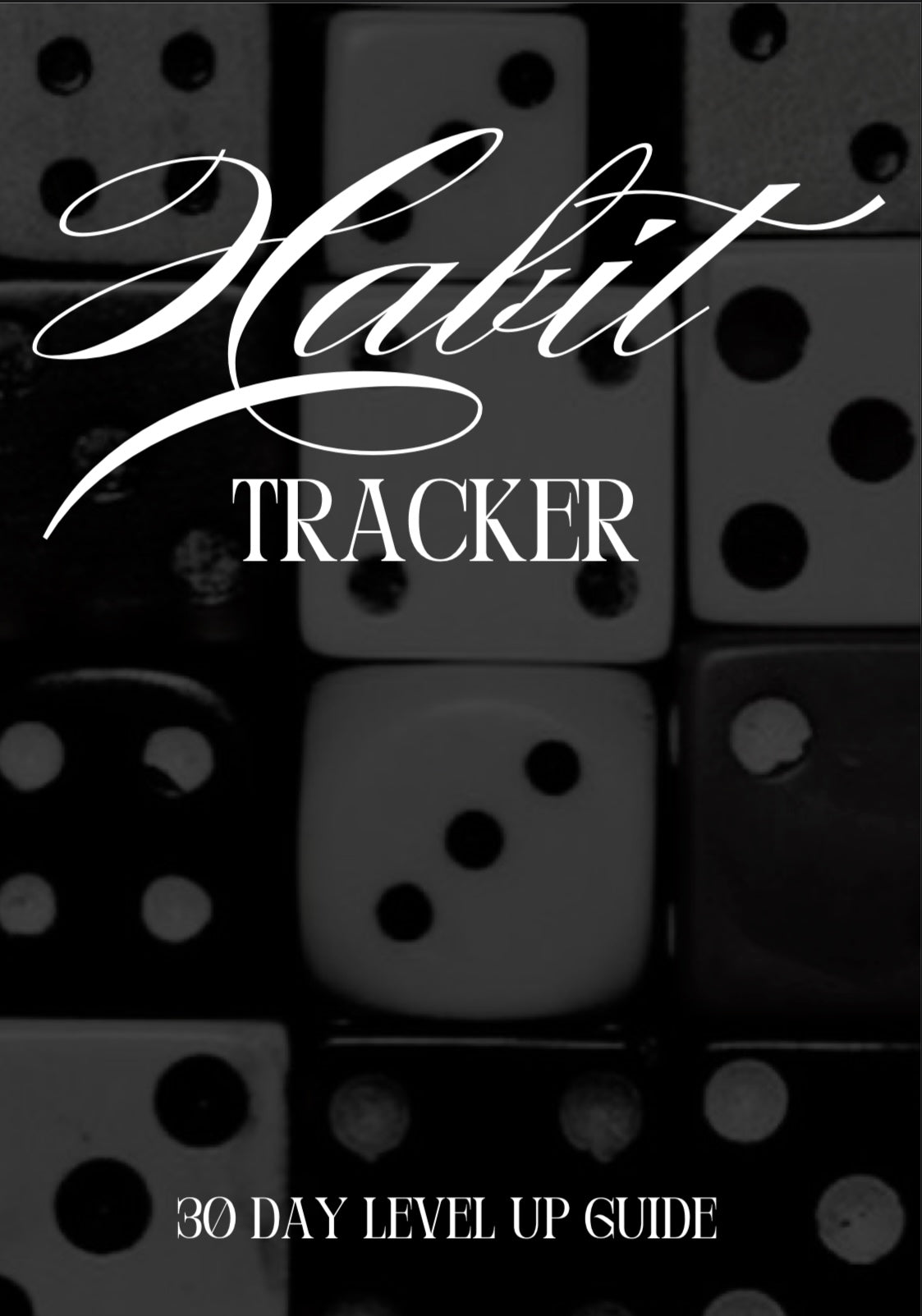 30 DAY LEVEL UP JOURNAL